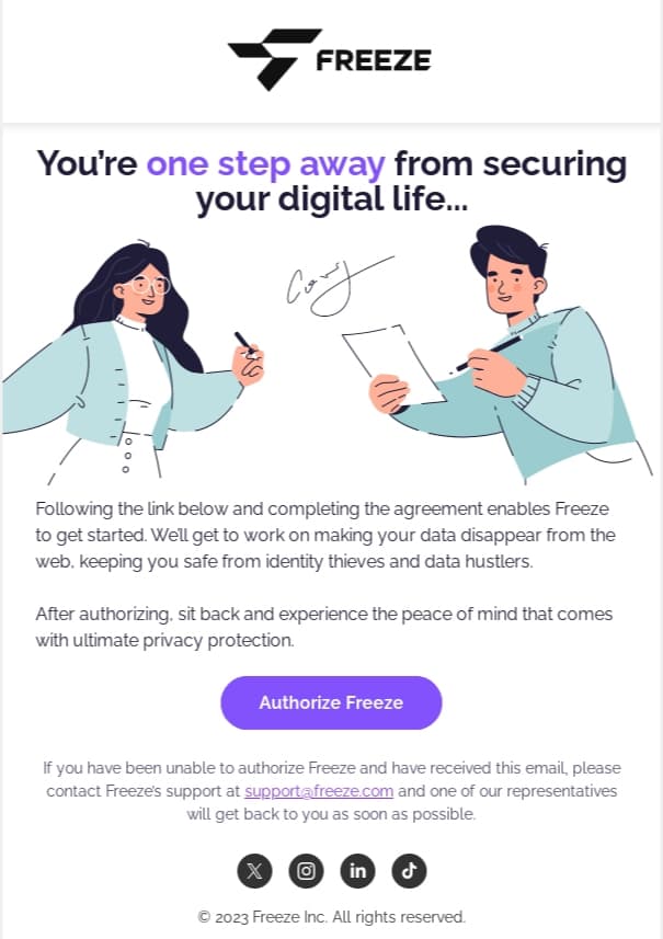 Freeze email designs